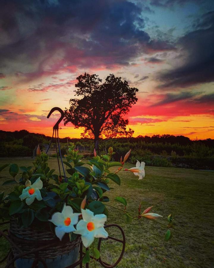 Manoir La Rumillette Saint-Michel-sur-Loire Exteriér fotografie